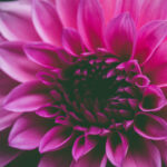 On-Page SEO Services for Calabasas by Marketing1on1