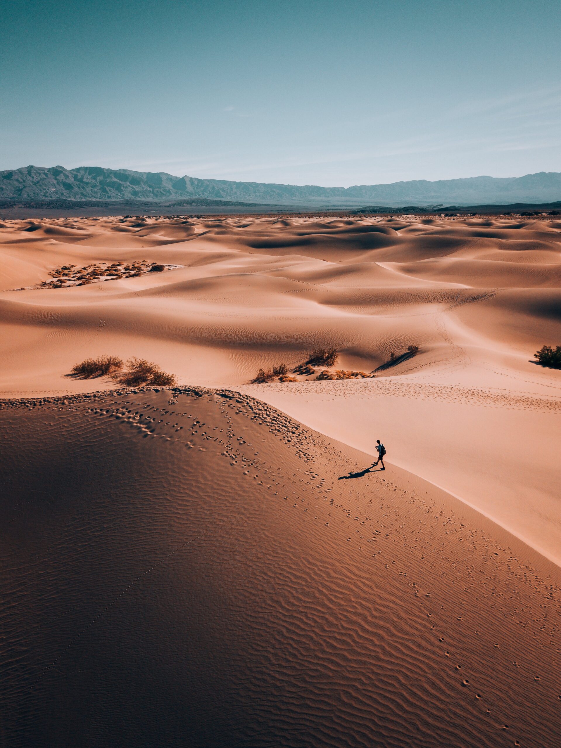 How Insurance Public Adjusters in Los Angeles Can Save You Time and Money