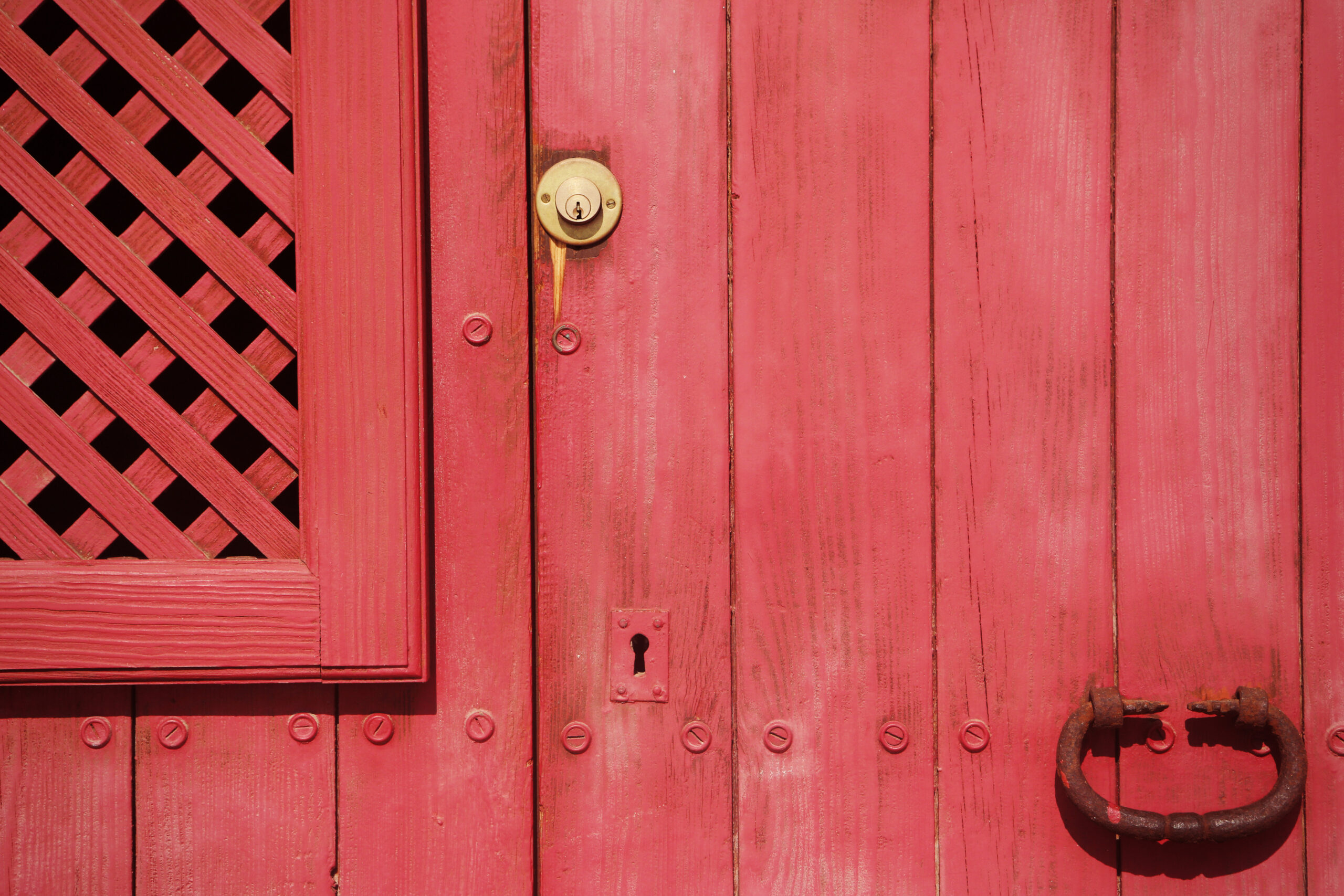 The Role of Page Speed in Website Rankings and Visibility