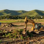 Proven Results from Reliable Land Clearing Contractors in Grandview TX